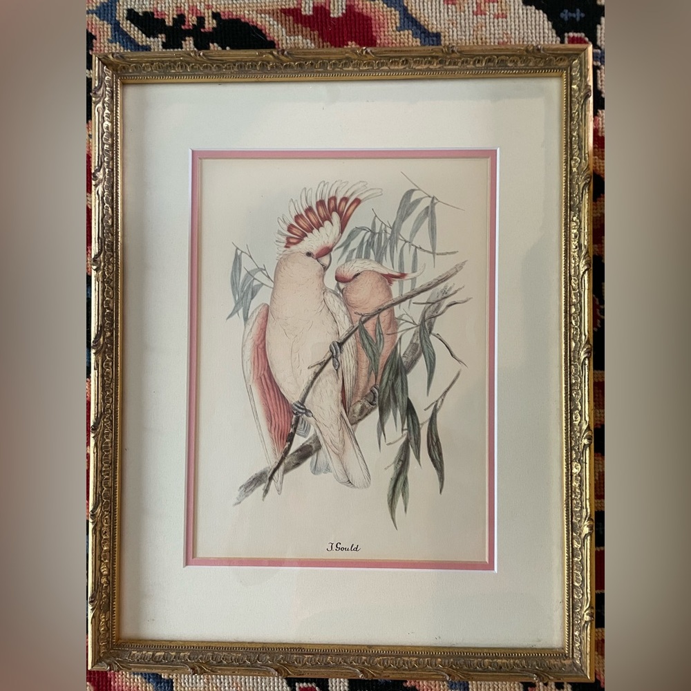 J Gould vintage Bird prints and 2 floral by